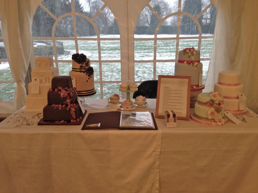 Snow and the Lawn Wedding Fair